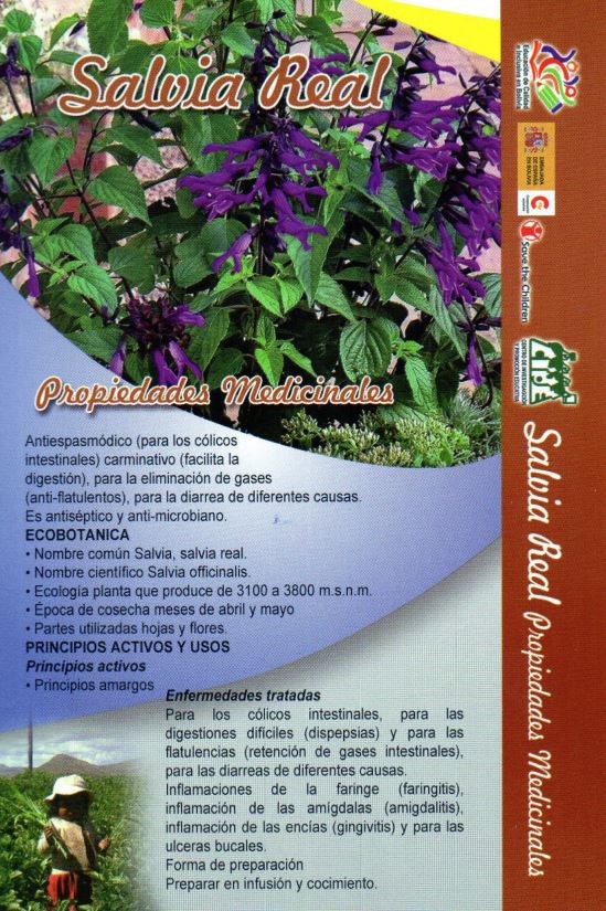 fichas medicina natural