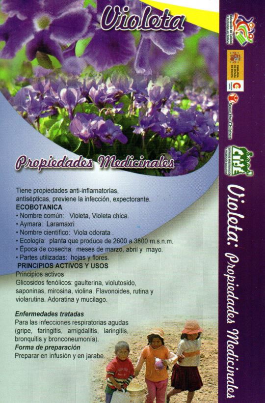 Fichas Medicina Natural - Imagen 2
